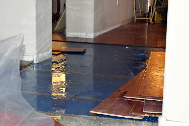 Professional Basement Flood Cleanup technician working in Denton, NC